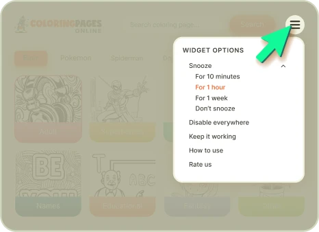 Widget options